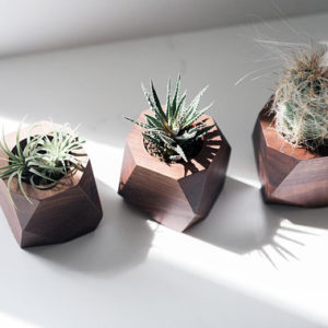 Mini macetero de madera